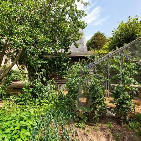 Bed & Breakfast Les Soliers 3*