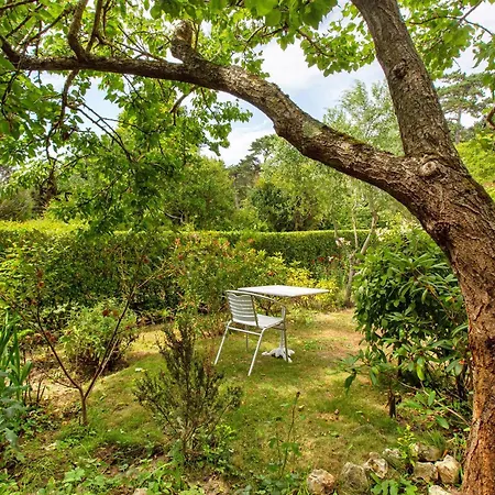 Les Soliers Bed & Breakfast